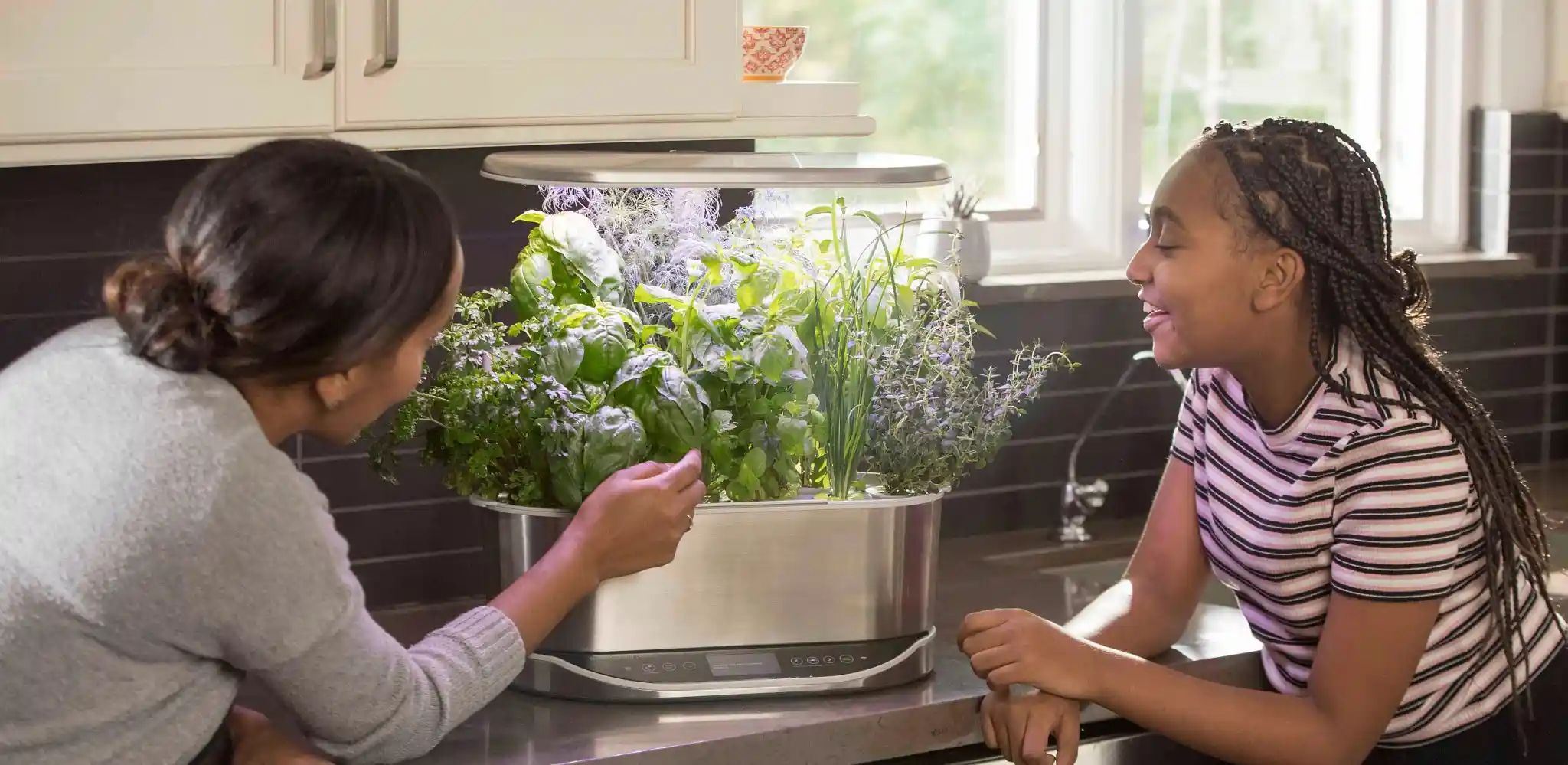 AeroGarden No-Spill Self Watering Aqua Globes