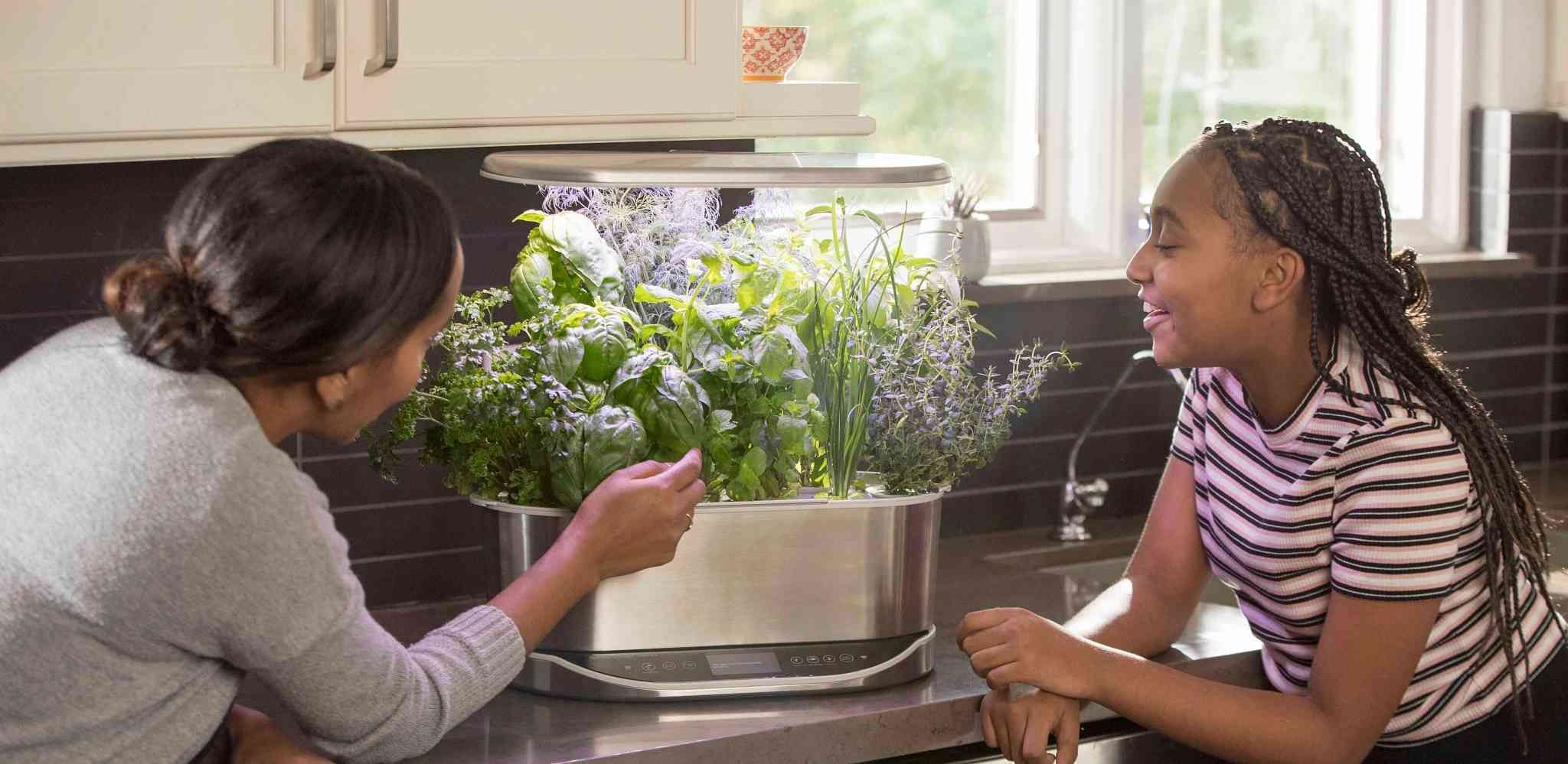 Setup Your AeroGarden | ScottsMiracle-Gro US