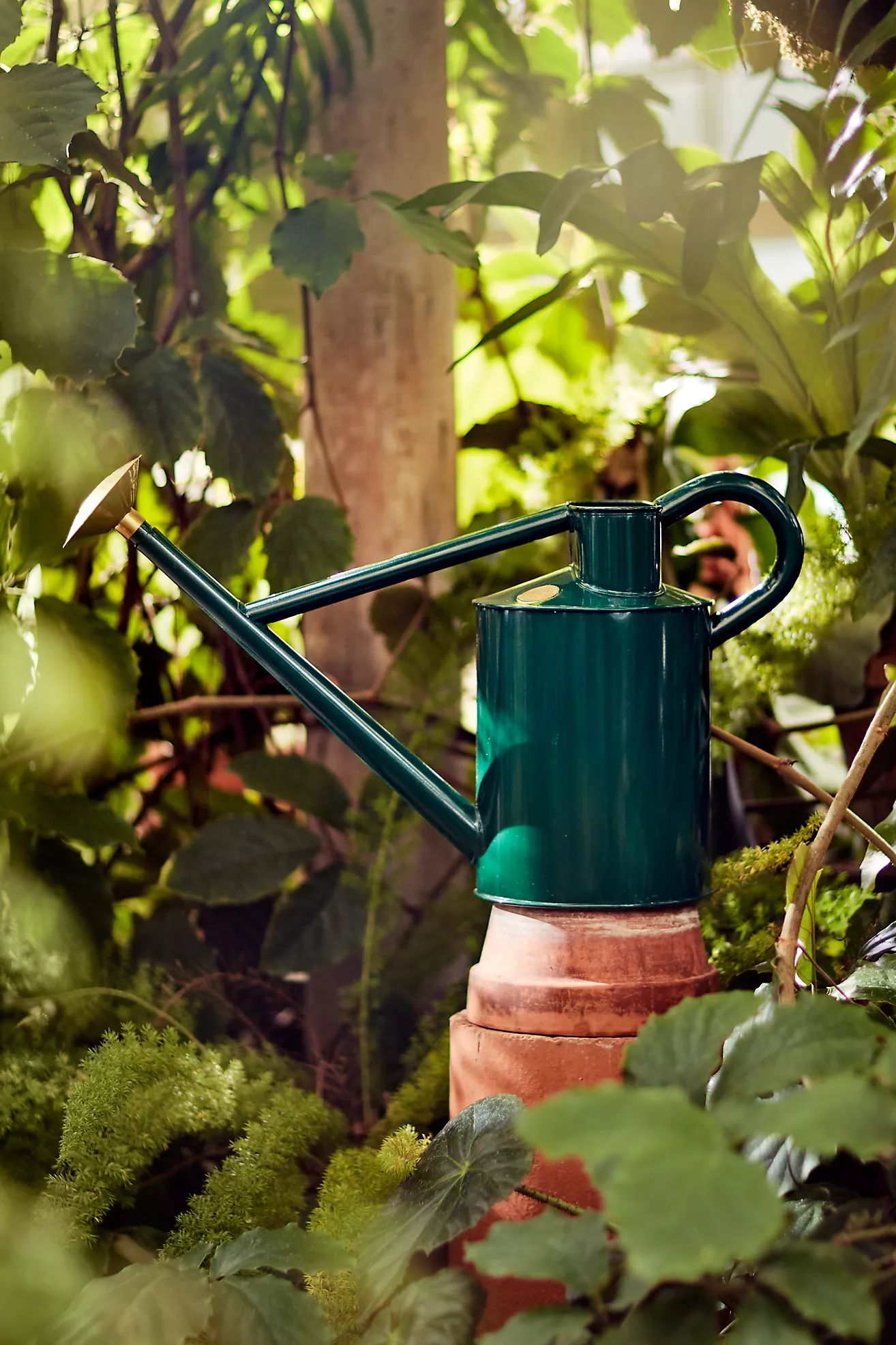 Haws Traditional Watering Can - Green