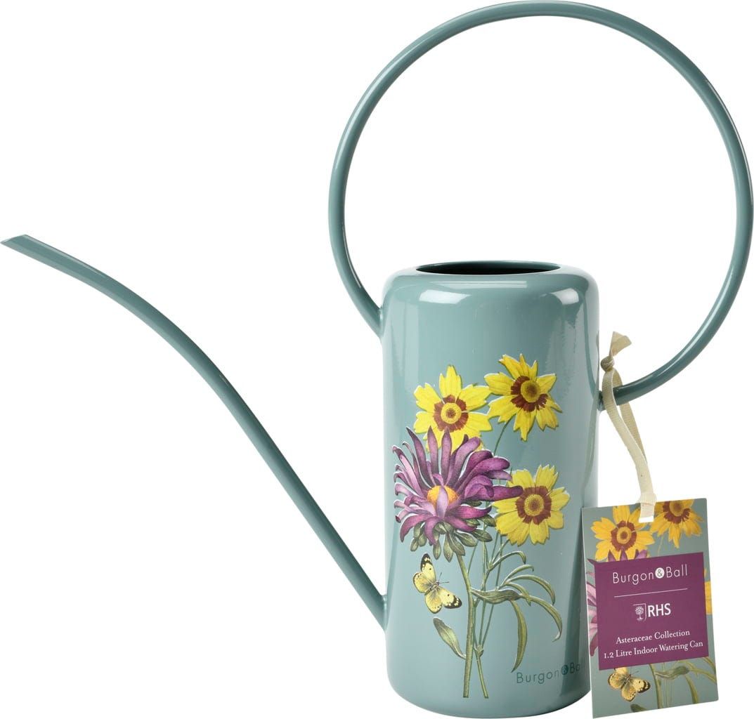 Burgon & Ball Indoor Watering Can - Bloomling Switzerland