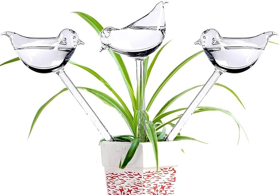 Amazon.com: Glass Plant Watering Globes, Self Watering Globes Bird Shape,  Self Watering Planter Insert, Plant Watering Devices, Automatic Plant  Waterer Indoor, Watering Bulbs, 3 Pack : Patio, Lawn & Garden