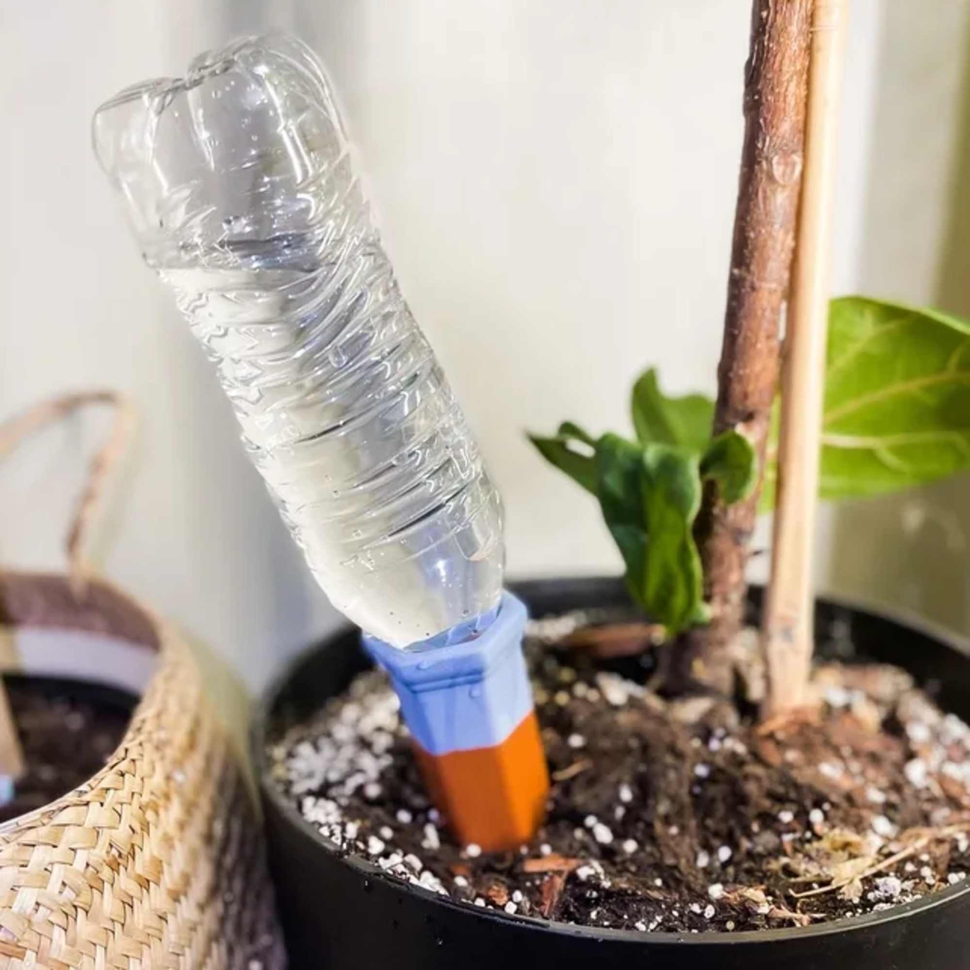 Terracotta Self-Watering Plant Spikes | Multicolor 1 unit