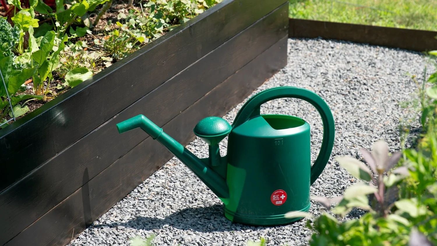 Sproutwell - Dramm Watering Can 10 Liter