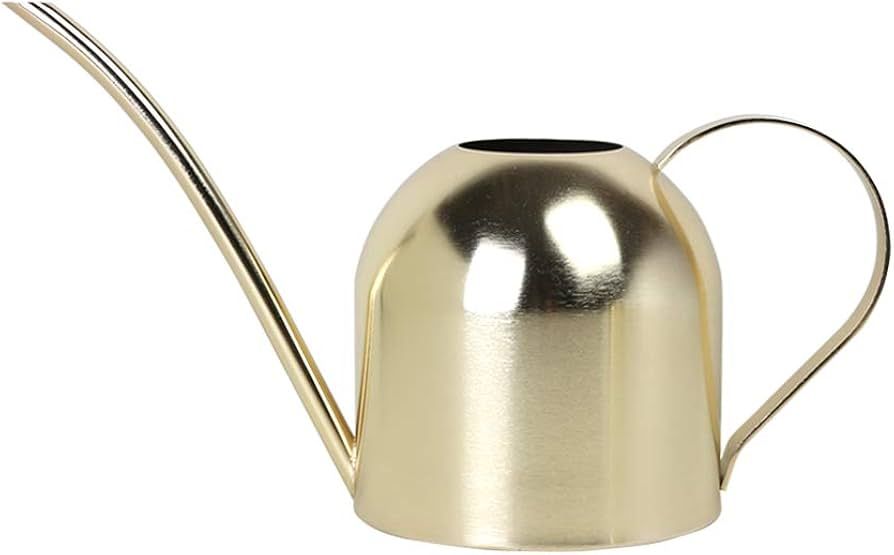 Amazon.com : E.Palace Stainless Steel Water Can for Indoor Plants and  Garden (Gold 30 oz) : Patio, Lawn & Garden