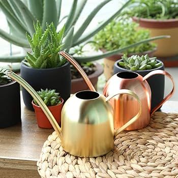 Amazon.com : E.Palace Stainless Steel Water Can for Indoor Plants and  Garden (Gold 15 oz) : Patio, Lawn & Garden