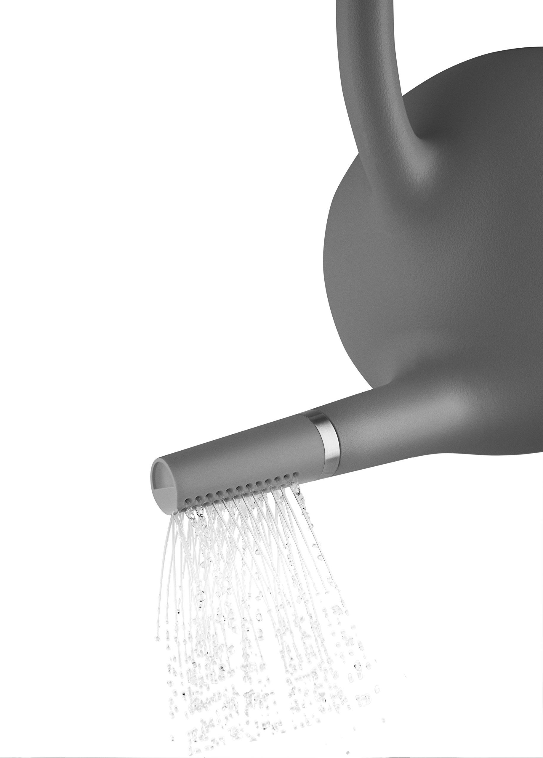 Amazon.com: EVA SOLO Globe Watering Can 9.0 L Dark Grey Two Watering Types  in One Dark Grey : Patio, Lawn & Garden