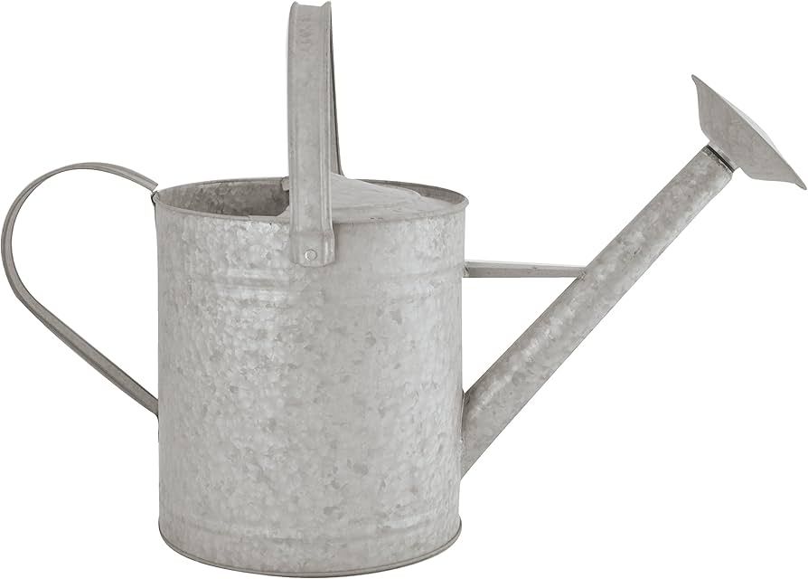 Fallen Fruits Old Zinc Watering Can 5 Litre : Amazon.com.be: Garden