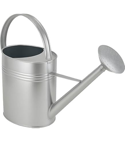 Fallen Fruits Old Zinc Watering Can 5 Litre : Amazon.com.be: Garden