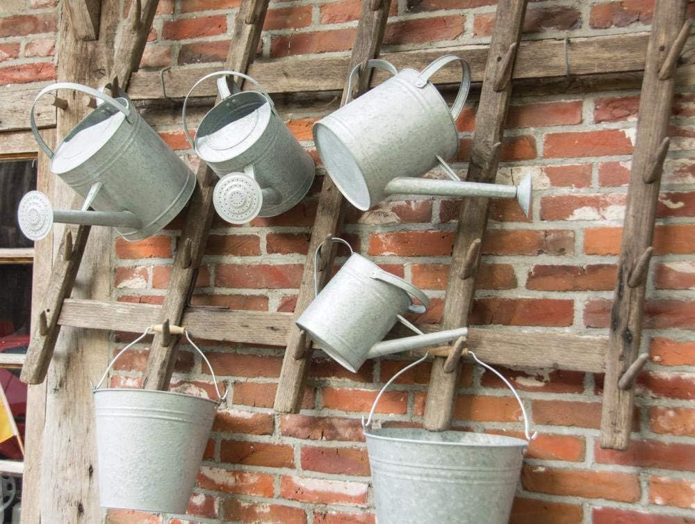 Fallen Fruits OZ46 5 Litre Old Zinc Watering Can, Grey (Zinc), XL - BigaMart