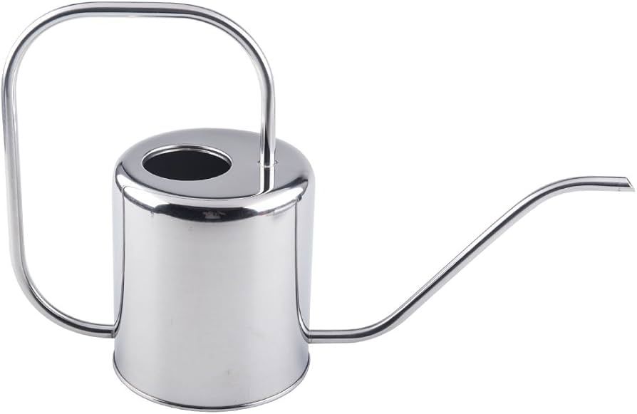 Amazon.com : Fasmov 51 Oz Stainless Steel Watering Can Modern Style Watering  Pot, Watering Can with Long Spout for Easy Pour, Water Outdoor Garden,  Indoor Plant (Silver) : Patio, Lawn & Garden