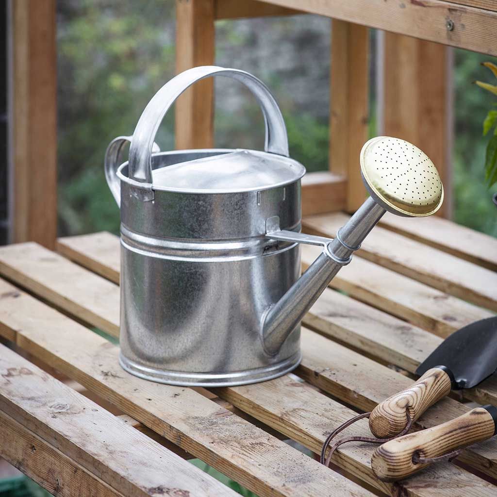 Garden Trading | Classic Watering Can | Metal Watering Can | Silver -  WildBounds