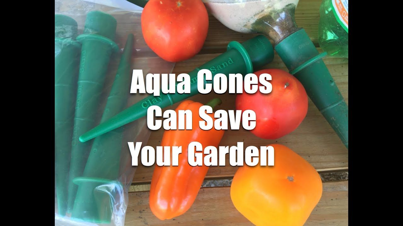 Aqua Cones Can Save Your Garden~