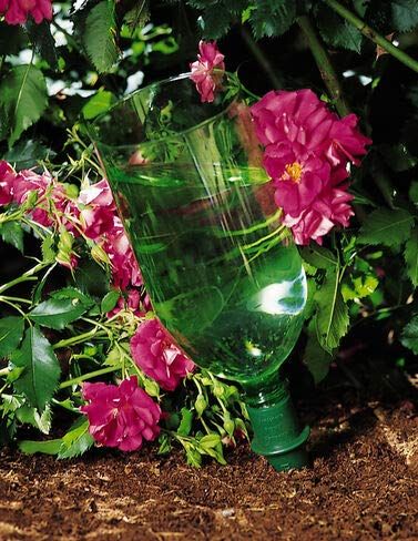 Gardeners Supply Company Green Aquacone Set Of 6 | Desertcart Gambia