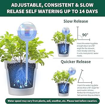 Amazon.com: Soilagua 13 oz Up to 2 Weeks Extra Large Plant Self Watering  Globes, Light Iridescent Glass Water Bulb Indoor, Plant Waterer Self- Watering Stakes, Perfect Gardening Gifts, 4 Pack : Patio, Lawn