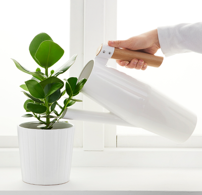 IKEA BITTERGURKA Watering Can, White, 0.5 gal, 2 l, 12" 30 Metal Bamboo  Handle | eBay