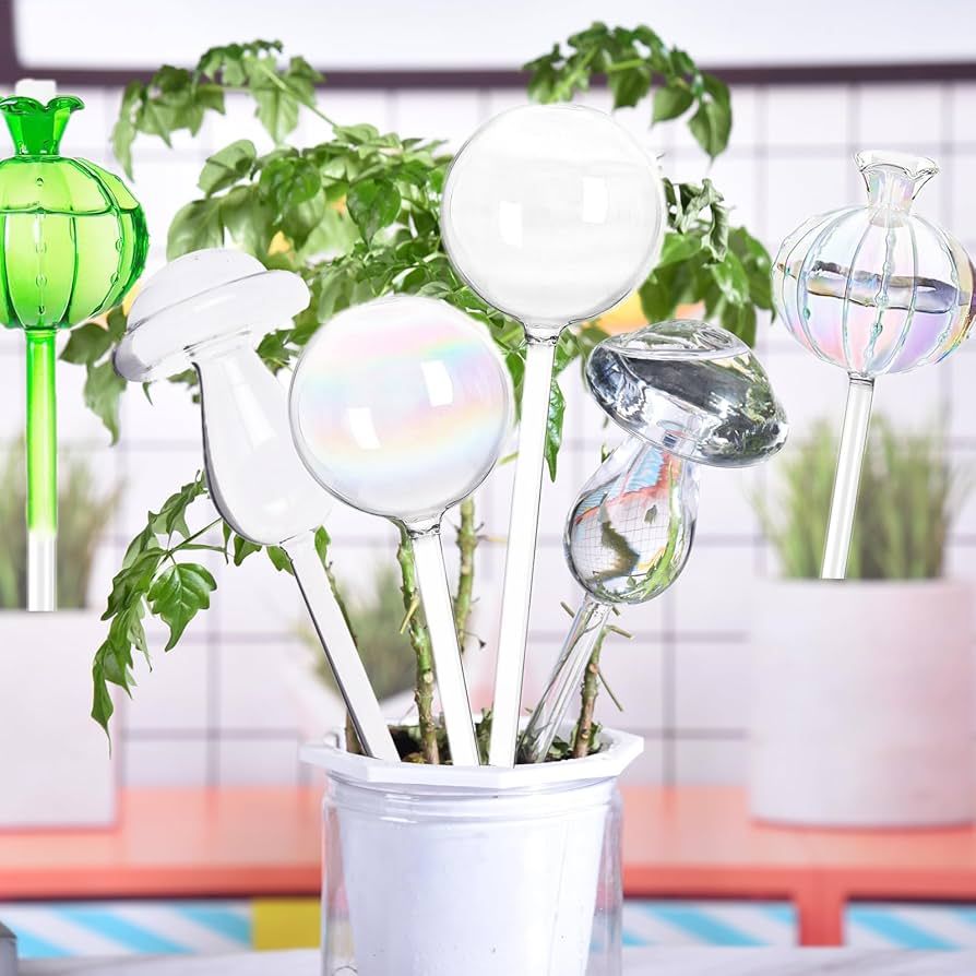 Amazon.com: EylKoi Plant Watering Globes Glass Clear 4pcs Self Watering Planter Insert, Water Bulbs Dripper Glass Plant Watering Devices Stakes Plant Waterer Spikes Auto for Potted Plants Indoor Outdoor : Patio, Lawn