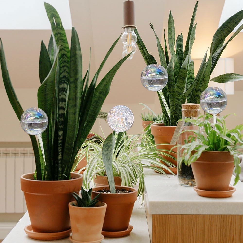 Amazon.com: 17 Oz 2 Weeks Glass Plant Watering Globes Large Vacation Water  While Away Indoor Outdoor Potted Plant Slow Release Self Watering Bulbs  Devices Planter Insert (Iridescent Large 3-Pack) : Patio, Lawn