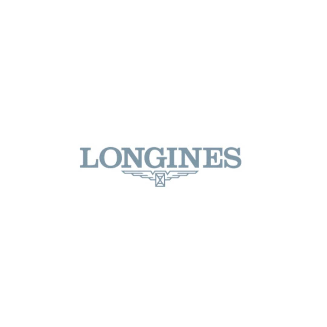 HYDROCONQUEST stainless steel and ceramic bezel Watch L3.781.4.56.6