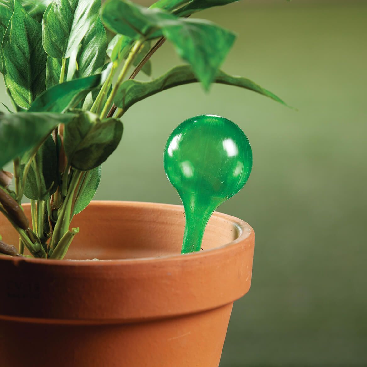 Plastic Plant Watering Bulbs, Set of 10
