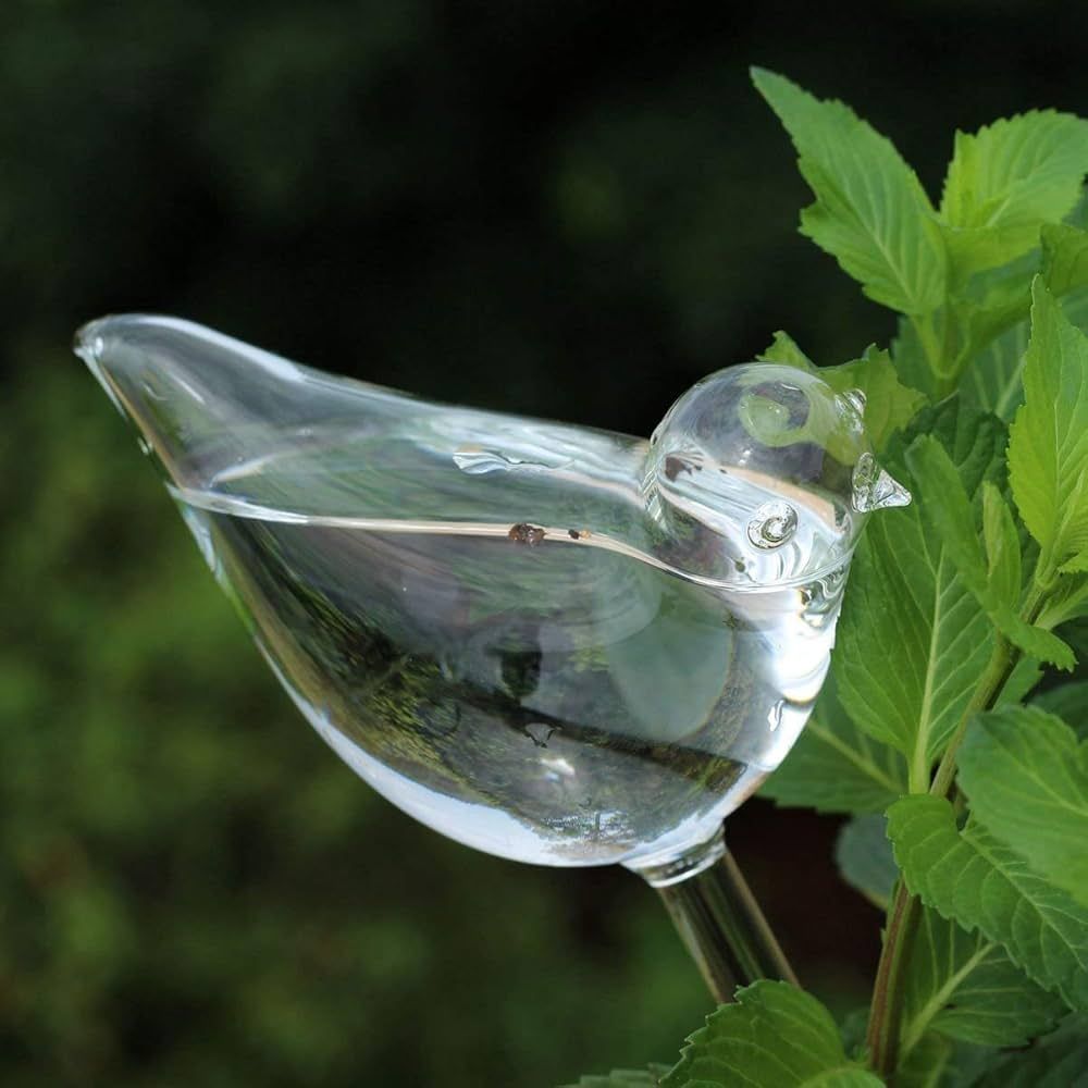 Amazon.com: Mkono 3 Pack Self Watering Globes - Glass Water Bulbs for Planter, Bird Shape Automatic Waterer for Indoor Outdoor Plants, Gifts for Plant Lovers : Patio, Lawn & Garden