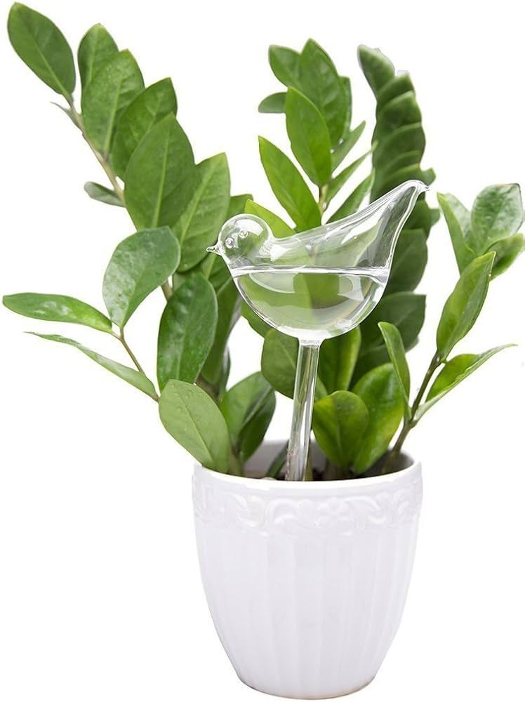 Amazon.com: Mkono 3 Pack Self Watering Globes - Glass Water Bulbs for  Planter, Bird Shape Automatic Waterer for Indoor Outdoor Plants, Gifts for  Plant Lovers : Patio, Lawn & Garden