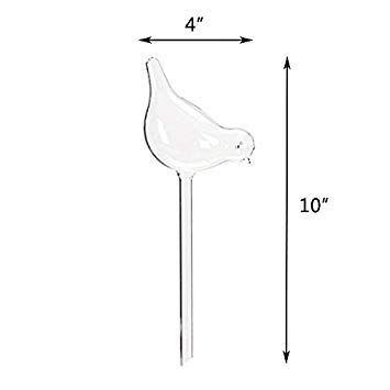 Amazon.com: Mkono 3 Pack Self Watering Globes - Glass Water Bulbs for  Planter, Bird Shape Automatic Waterer for Indoor Outdoor Plants, Gifts for  Plant Lovers : Patio, Lawn & Garden
