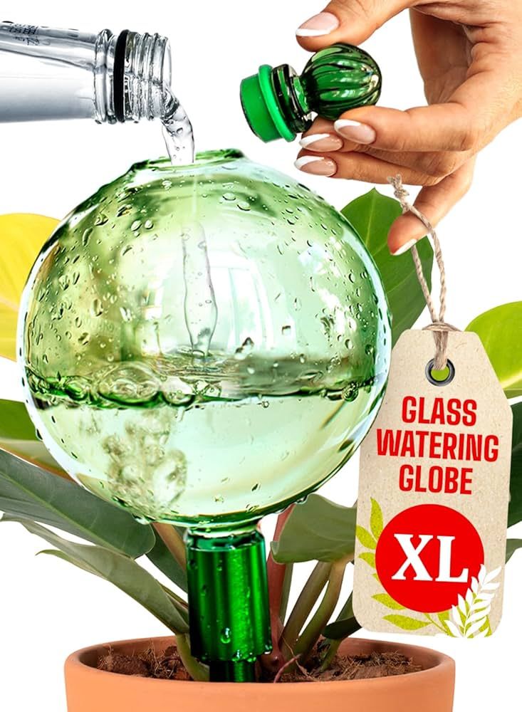 Amazon.com: 16 Oz Plant Watering Globes for Indoor Plants with Metal Self  Watering Planter Insert - Premium XL Glass Hand-Blown Globe - Automatic  Plant Waterer Indoor, Gift Idea for Gardeners [1 Globe,