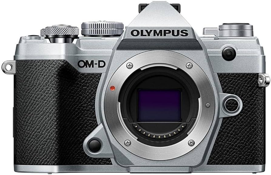 Amazon.com : OM System Olympus OM-D E-M5 Mark III Body Silver : Electronics