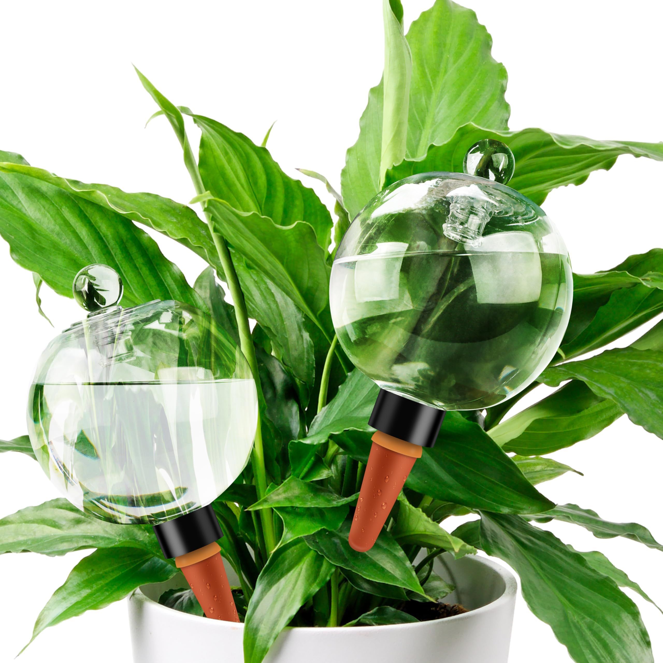 Amazon.com: Soilagua 19 oz Extra Large Plant Self Watering Globes Top Fill, Plastic Water Bulbs, Slow Release Terracotta Self Watering Planter Insert, Plant Watering Devices System, Water Spikes Stakes, 2 Pack :