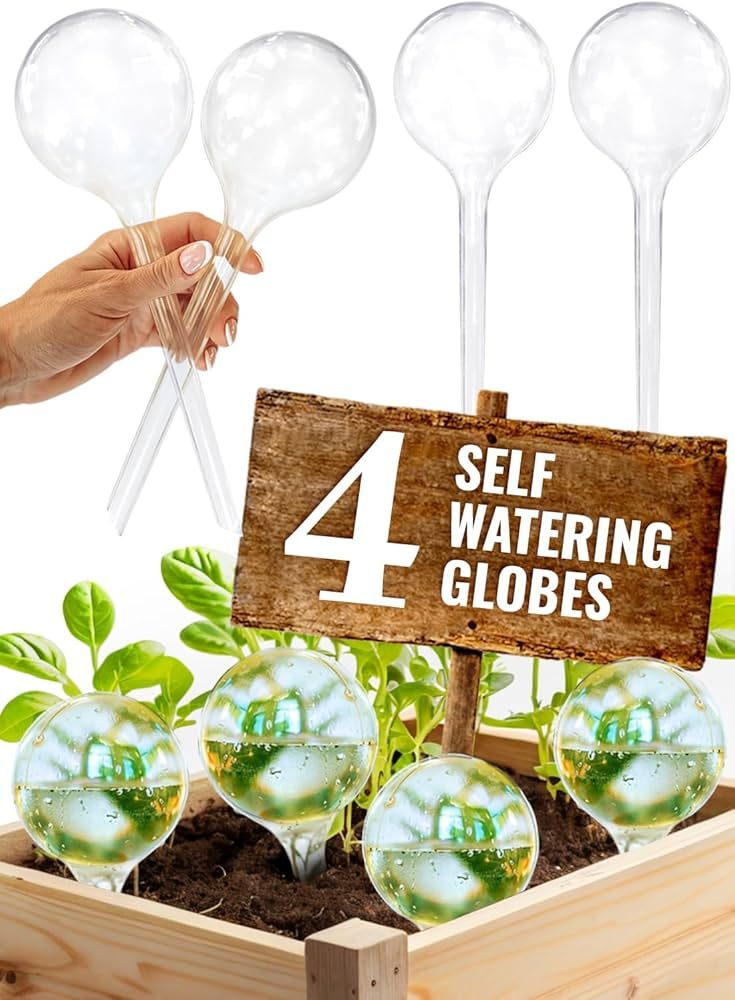 Amazon.com: Plant Watering Globes Plastic Set of 4 - Automatic Plant  Waterer Set for Indoor and Outdoor Plant Watering - Self Watering Planter  Insert System with Plastic Watering Bulbs (4 pcs, Globes) :