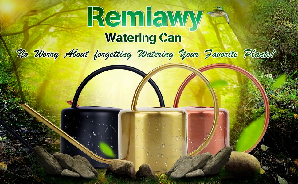 Amazon.com : Remiawy Watering Can Indoor Outdoor Stainless Steel Watering Cans for House Plants Long Spout Water Can for Succulent Bonsai Garden Flower(40oz/1300ml) : Patio, Lawn & Garden