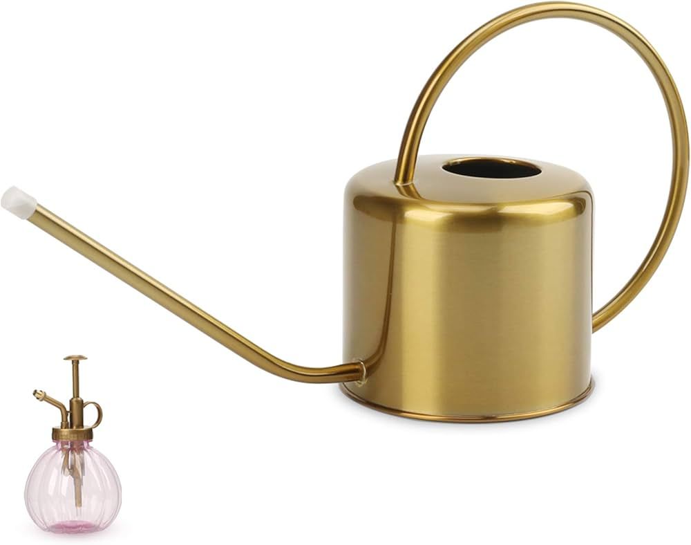 Amazon.com : Remiawy Watering Can Indoor Outdoor Stainless Steel Watering  Cans for House Plants Long Spout Water Can for Succulent Bonsai Garden  Flower(40oz/1300ml) : Patio, Lawn & Garden