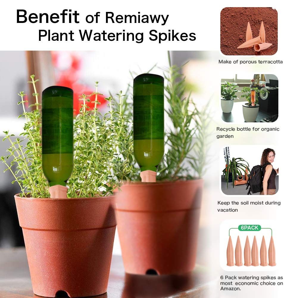 Amazon.com: REMIAWY Plant Watering Spikes, Plant Vacation Waterer Wine Bottle Watering Stakes Terracotta Devices Slow Release Self Spikes for Indoor Outdoor : Patio, Lawn & Garden
