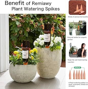Amazon.com: REMIAWY Plant Watering Stakes 6 Pack Automatic Plant Waterers  for Vacations, Terracotta Self Watering Spikes for Wine Bottles Indoor &  Outdoor Plants : Patio, Lawn & Garden