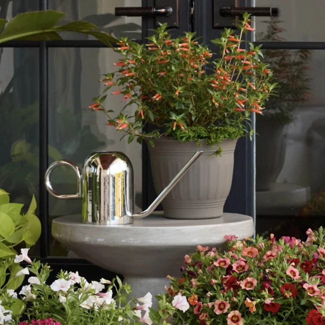 Crane 1.5L Metal Watering Can – Modern Indoor Garden | Bloem