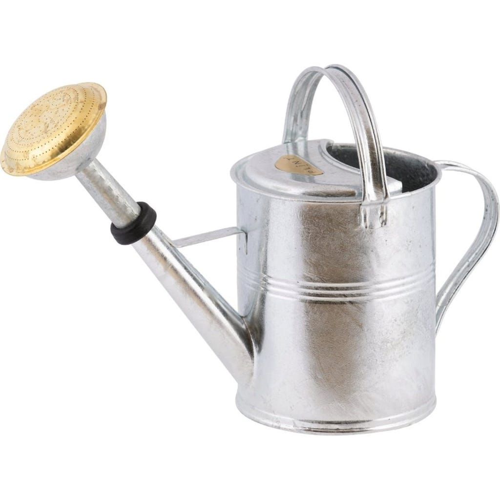 Plint 5 L Watering Can - Zinc - Bloomling International