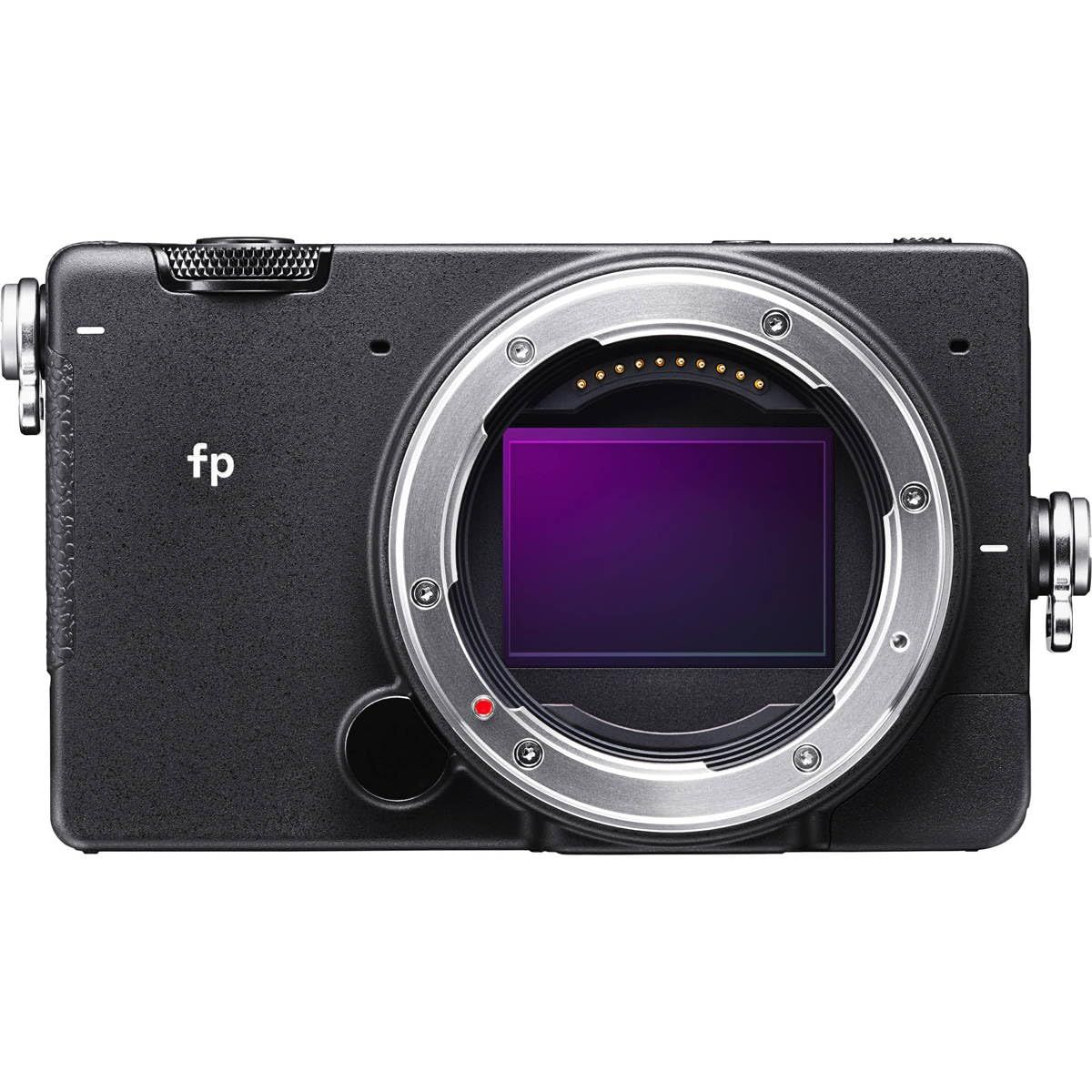Amazon.com : Sigma fp Mirrorless Full-Frame Digital Camera : Electronics