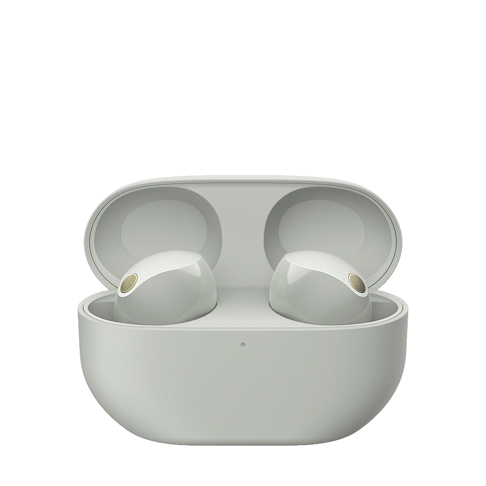 WF-1000XM5 Wireless Noise Cancelling Earbuds (Silver) - product image