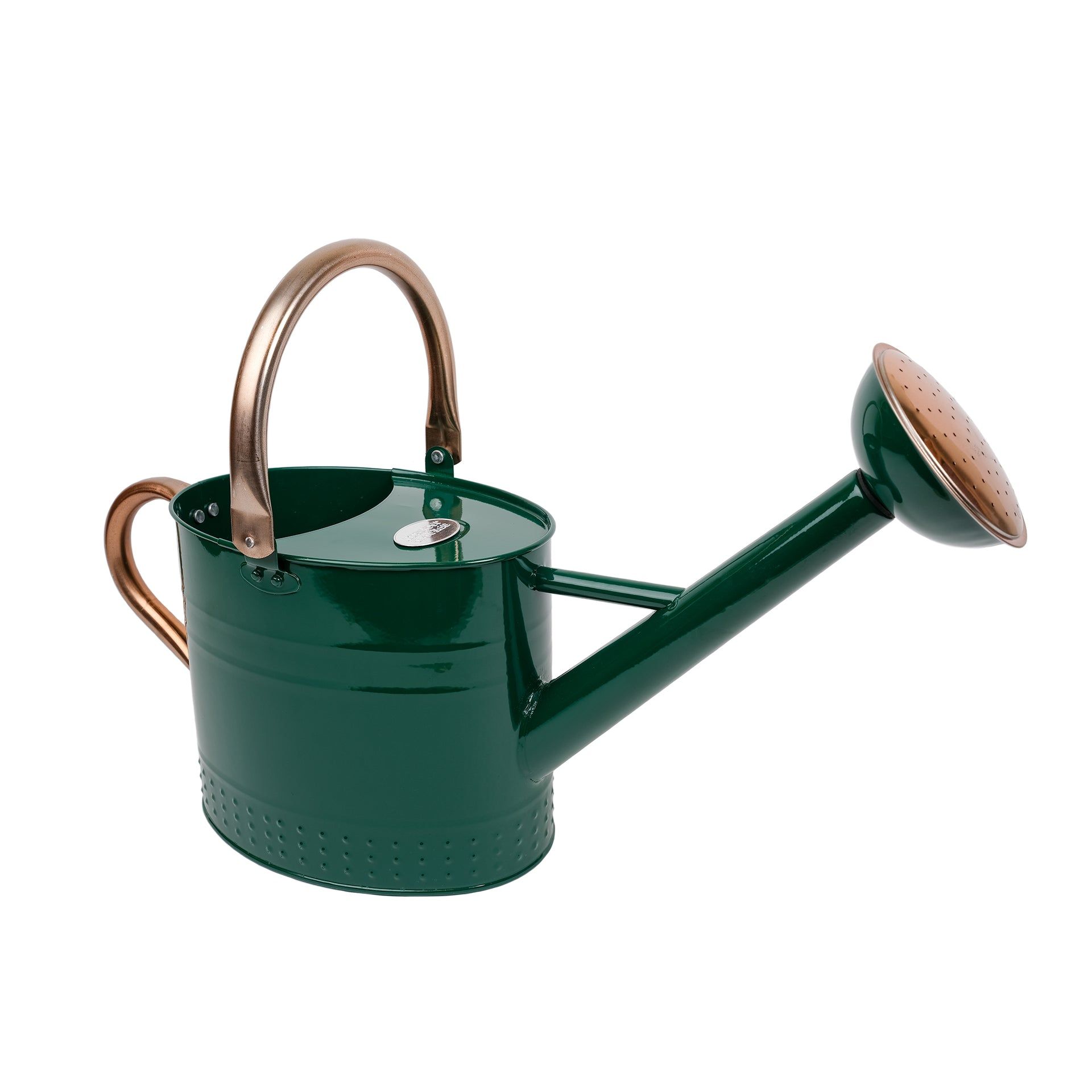 Kew Gardens Galvanised Steel 4.5L Watering Can - Racing Green