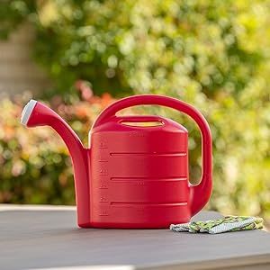 Amazon.com: Root & Vessel 30411 Deluxe 2-Gallon Watering Can, Red : Patio,  Lawn & Garden