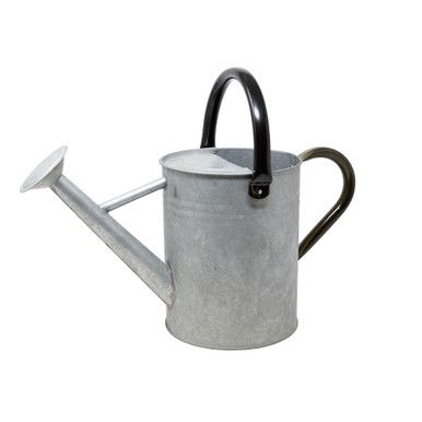 Panacea Metal Watering Can, Vintage Aged Galvanized, 1 Gallon - Esbenshades