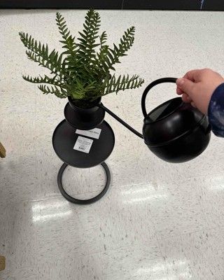 0.4gal Iron Outdoor Watering Can with Powder Coat Finish Black - Threshold™  : Target