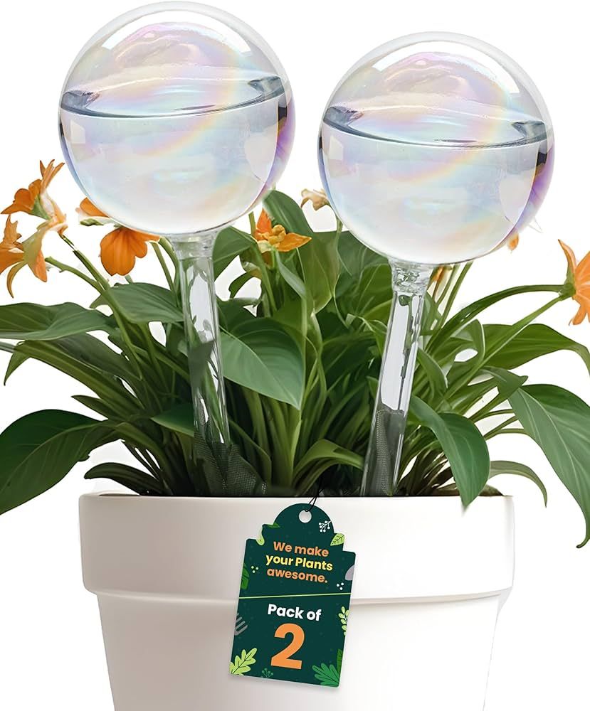 Amazon.com: Iridescent Self Watering Globes, Glass Rainbow Plant Watering  Globes, Self Watering Planter Insert, Automatic Plant Waterer Indoor  (Medium-2 Pcs Iridescent, Medium) : Patio, Lawn & Garden