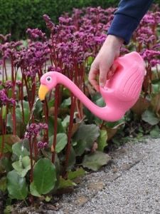 Pink Flamingo Watering Can