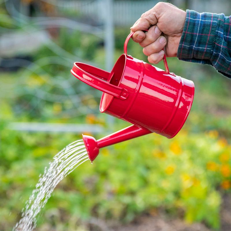 Kids Metal Watering Can - Red – Vasili's Garden