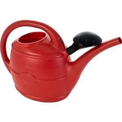 10L Ward Watering Can with Rose