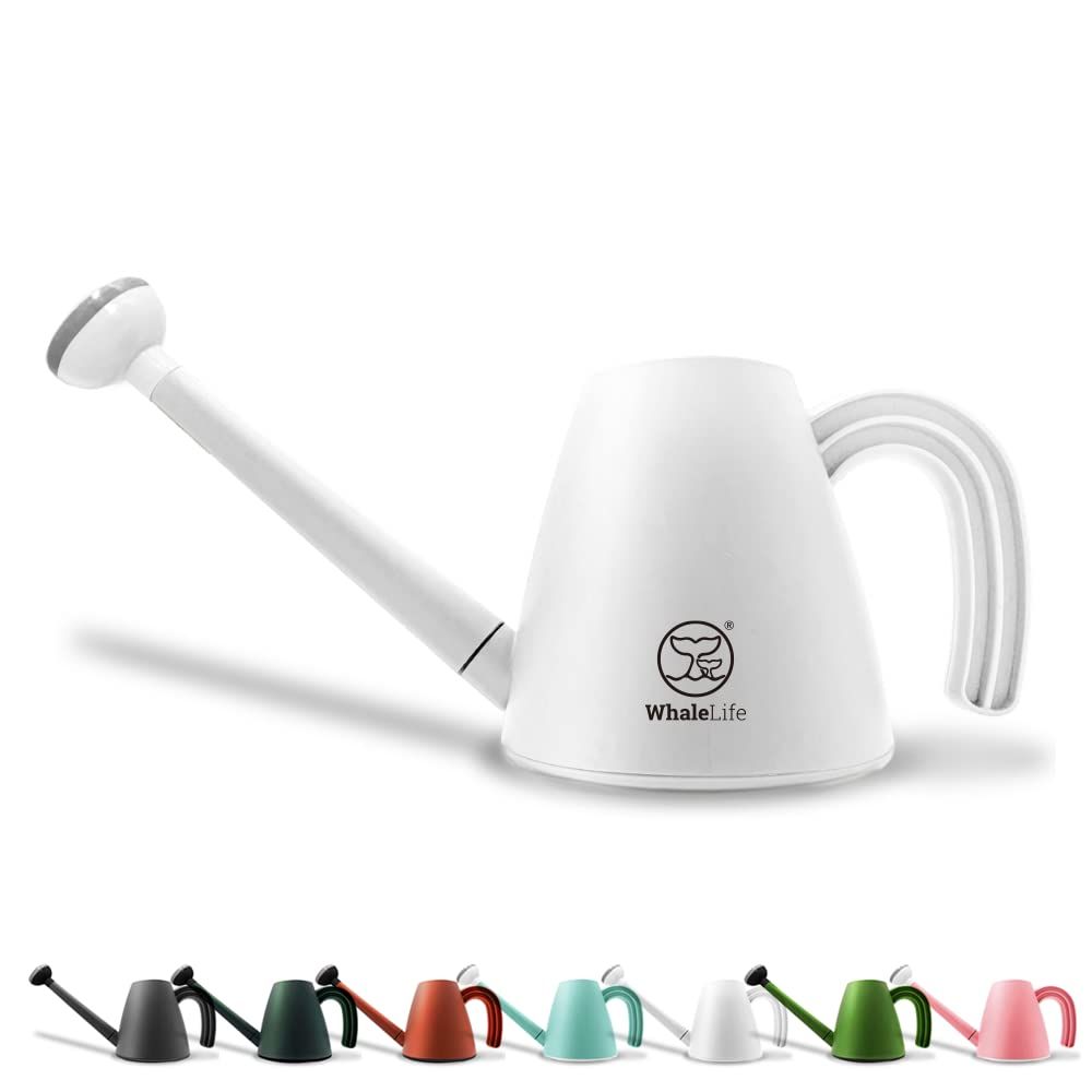 Amazon.com : WhaleLife Indoor Watering Can for House Bonsai Plants (2.0L,  White) : Patio, Lawn & Garden