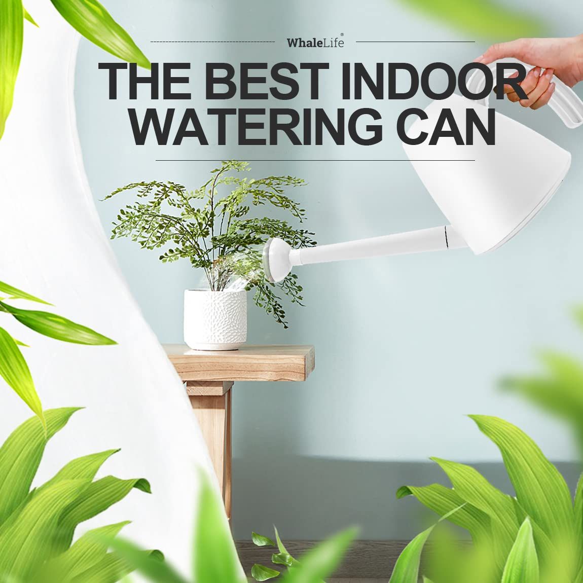 Amazon.com : WhaleLife Indoor Watering Can for House Bonsai Plants (2.0L,  White) : Patio, Lawn & Garden
