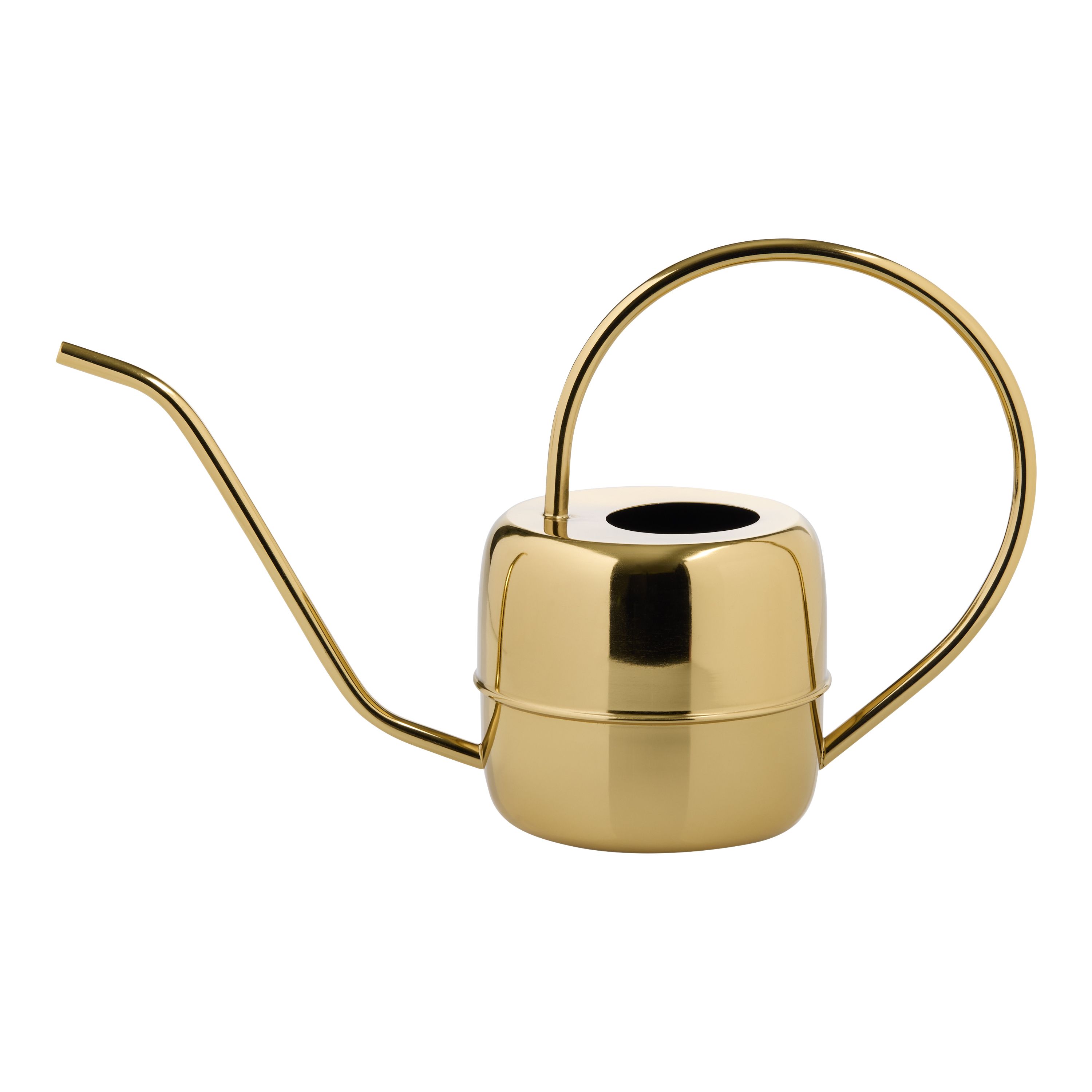 Gold Iron Gooseneck Mid Century Watering Can - World Market