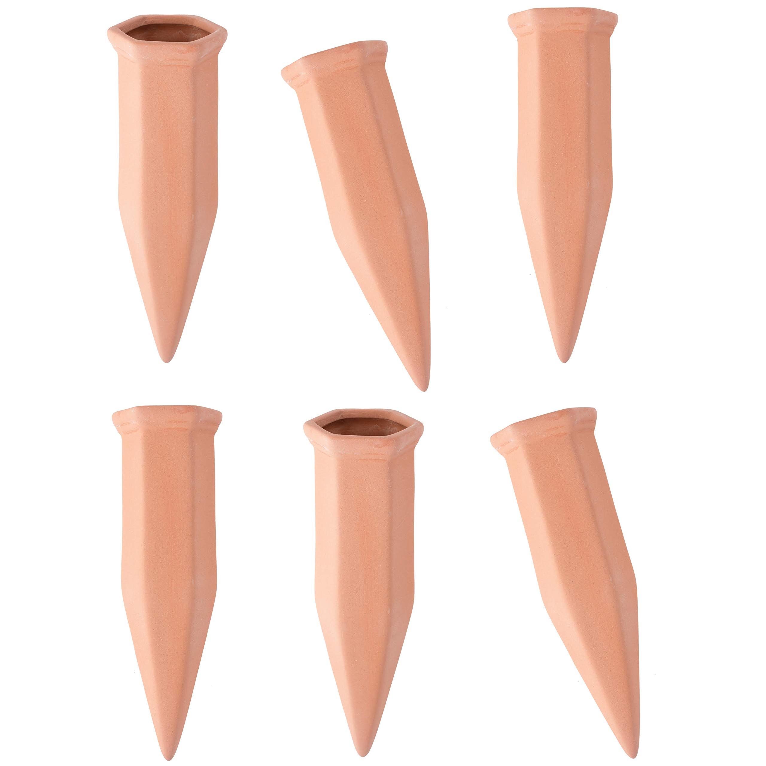 Maxam Plant Pals by Wyndham House 6 Piece Terracotta Watering Spikes :  Amazon.sg: Garden